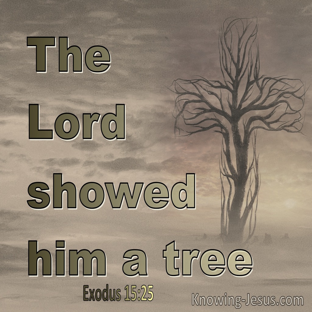 Exodus 15:25 the Lord showed him a tree (beige)